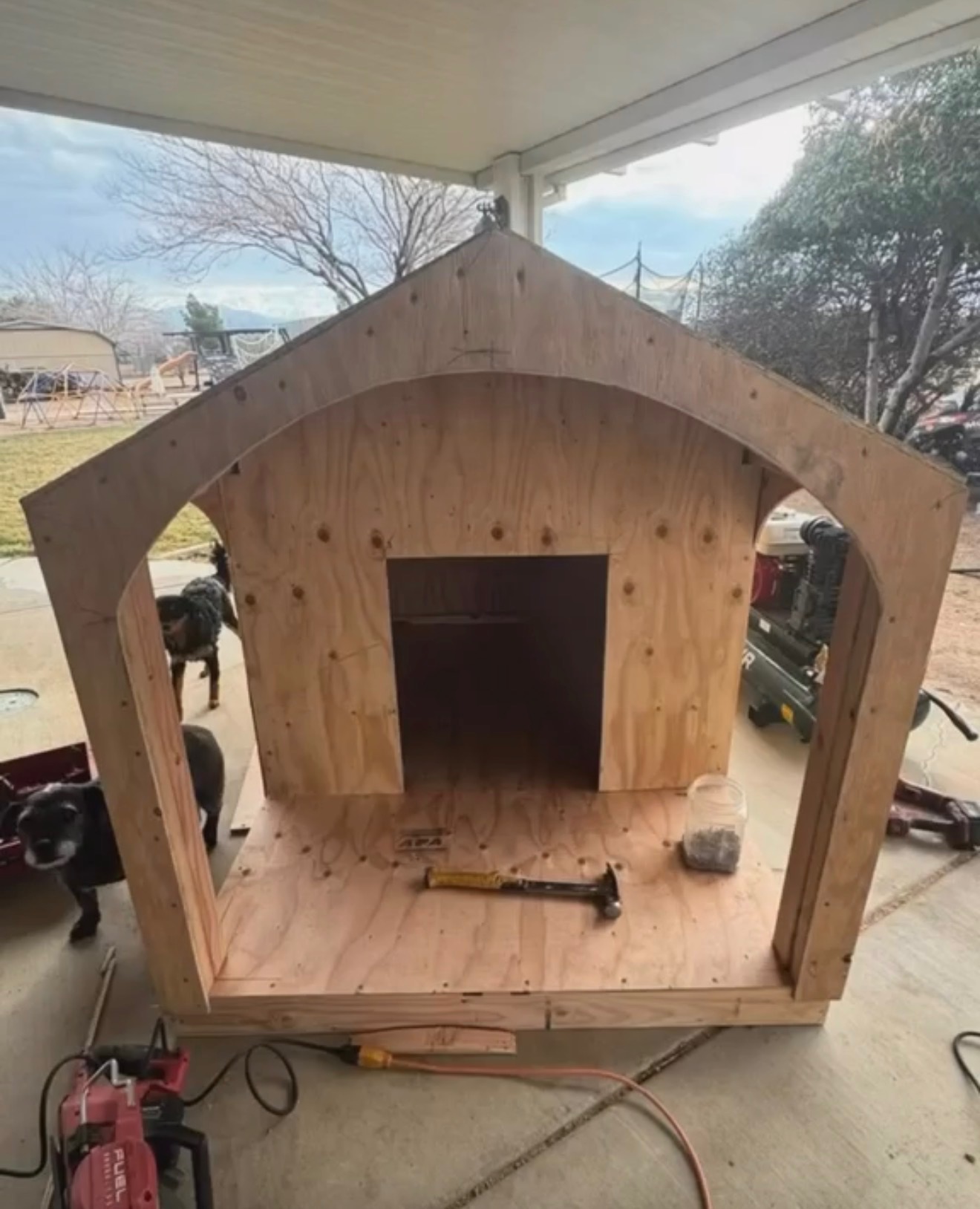 Custom kennel — framed & sheathed — supplied before-and-after comparison